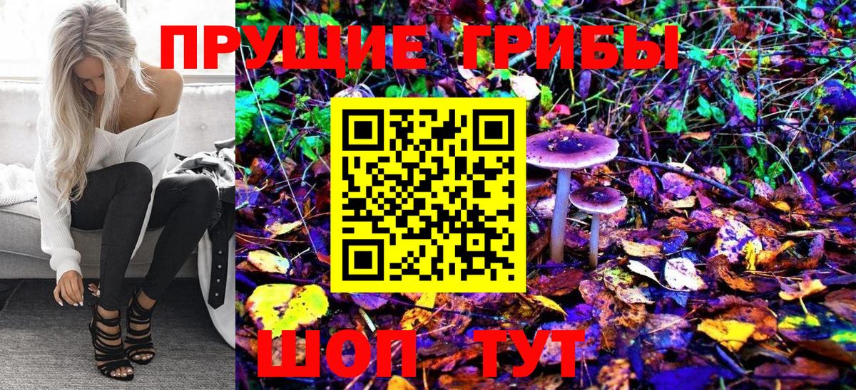 Псилоцибиновые грибы MAGIC MUSHROOMS Избербаш