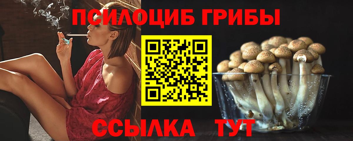 Галлюциногенные грибы Magic Shrooms  Вход с VPN  Избербаш  Псилоцибиновые грибы мицелий 